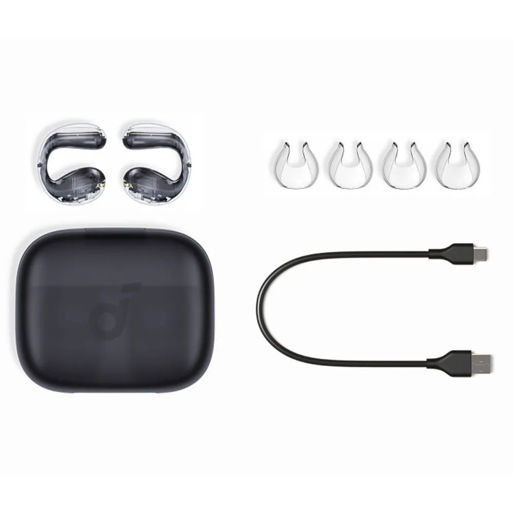 Anker Soundcore C30i A3330H11 Earbuds - Black