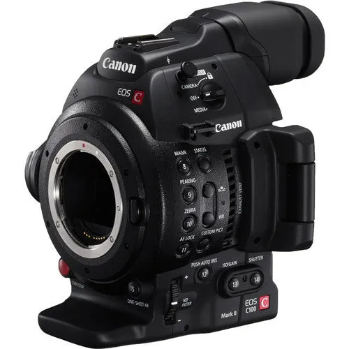 Canon EOS C100 Mark II Dual Pixel AF EF-S 18-135mm Kit