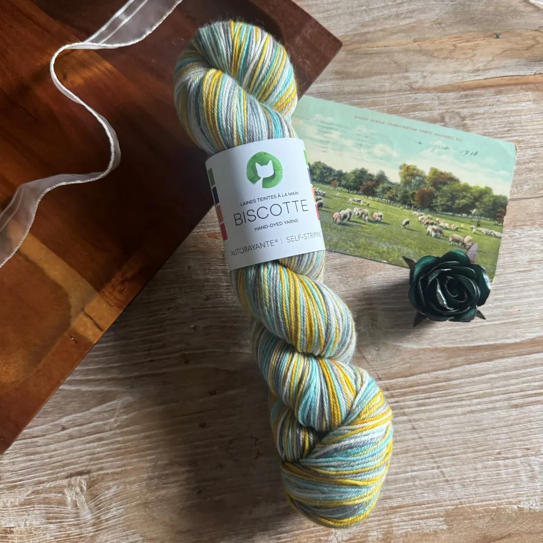 Dayana socks | Knitting kits