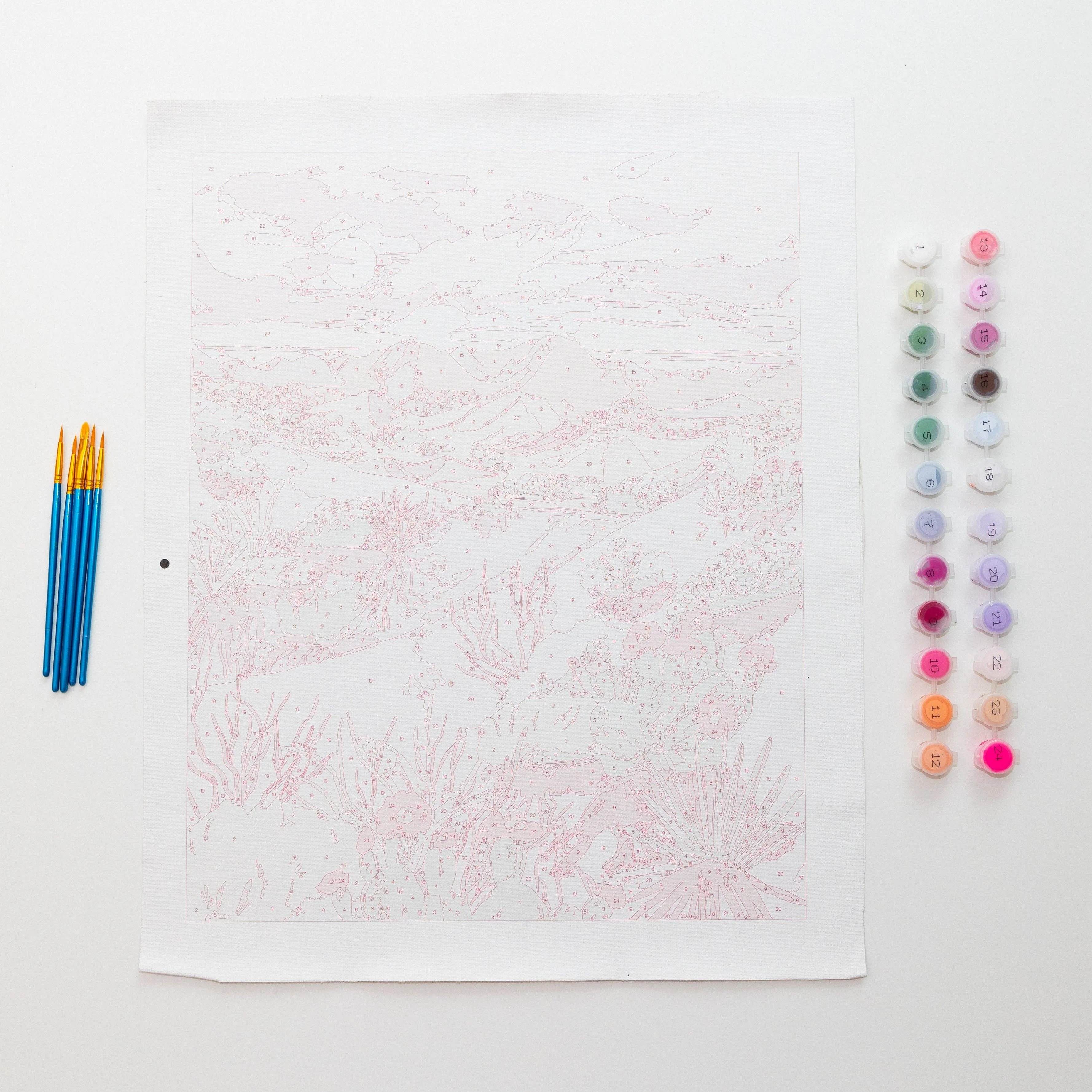 Death Valley Paint by Numbers Deluxe