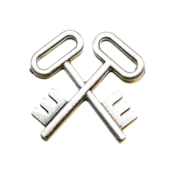 Navy Ball Cap Device: Mirror Finish Logistics