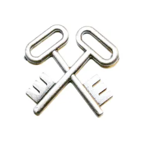 Navy Ball Cap Device: Mirror Finish Logistics