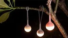 Olight Osling for Obulb