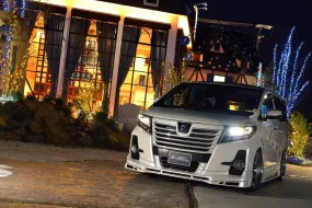 Rowen for Toyota Alphard 30 S-Grade Body Kit