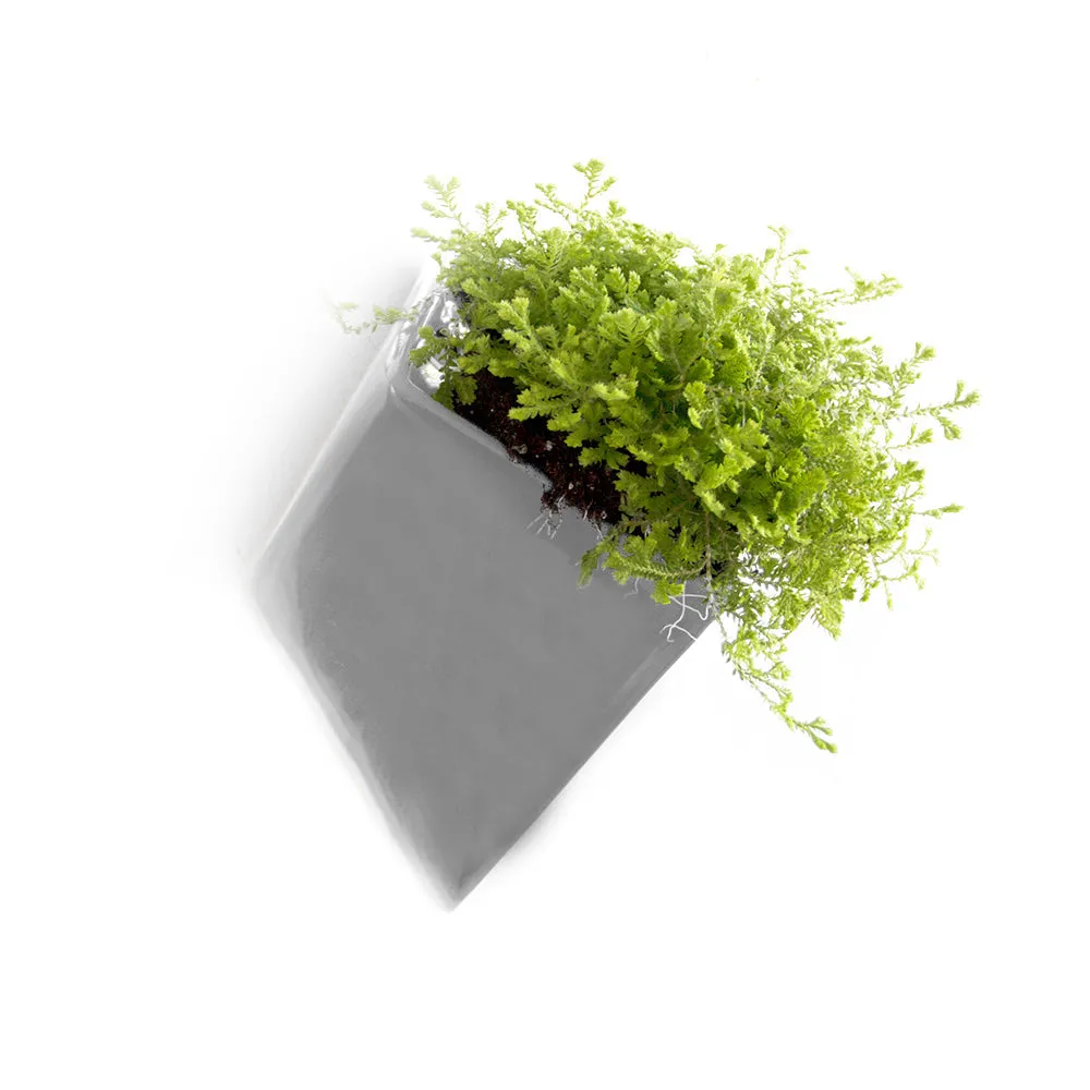 Slab Wall Planter Kits