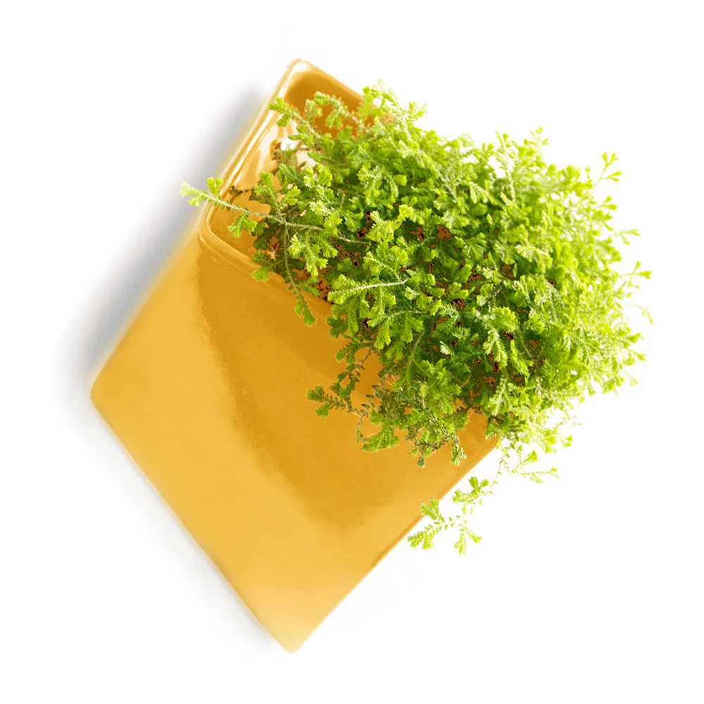 Slab Wall Planter Kits