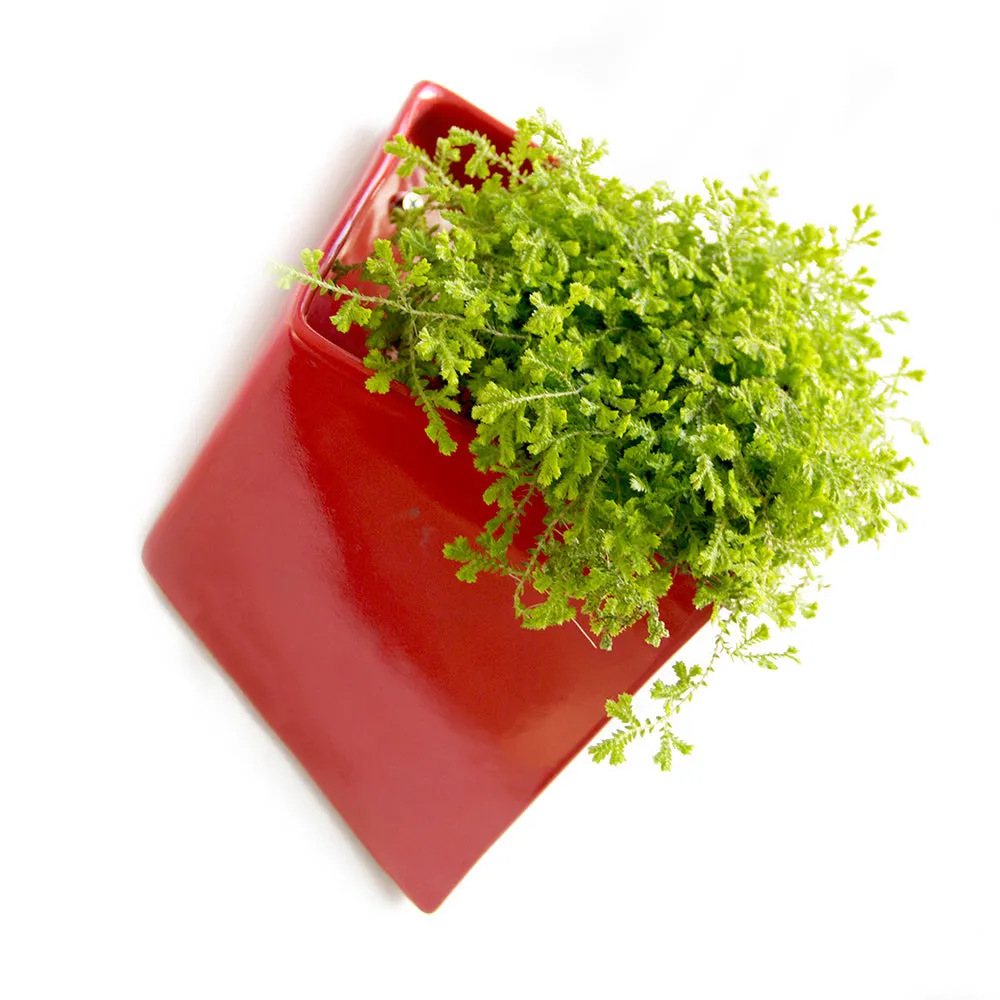 Slab Wall Planter Kits