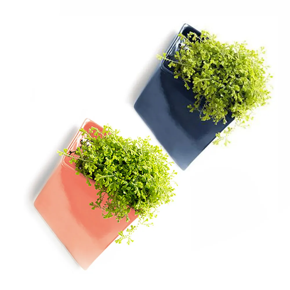 Slab Wall Planter Kits
