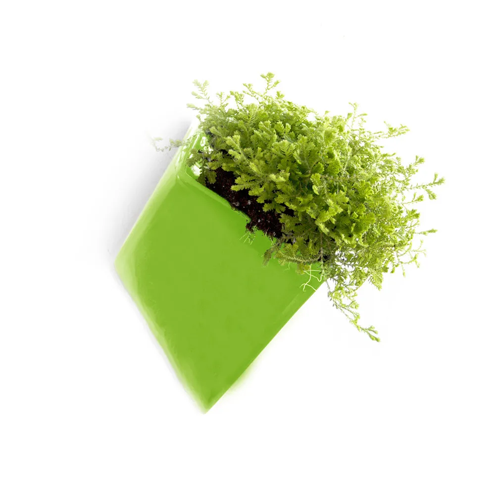 Slab Wall Planter Kits