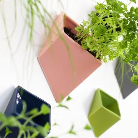 Slab Wall Planter Kits