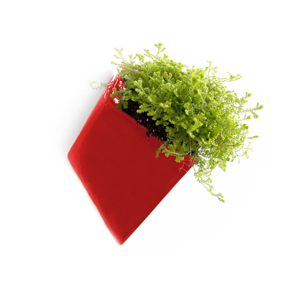Slab Wall Planter Kits