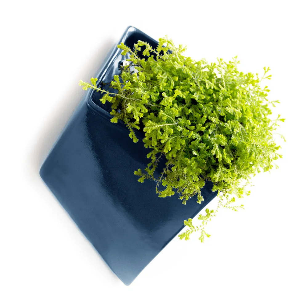 Slab Wall Planter Kits