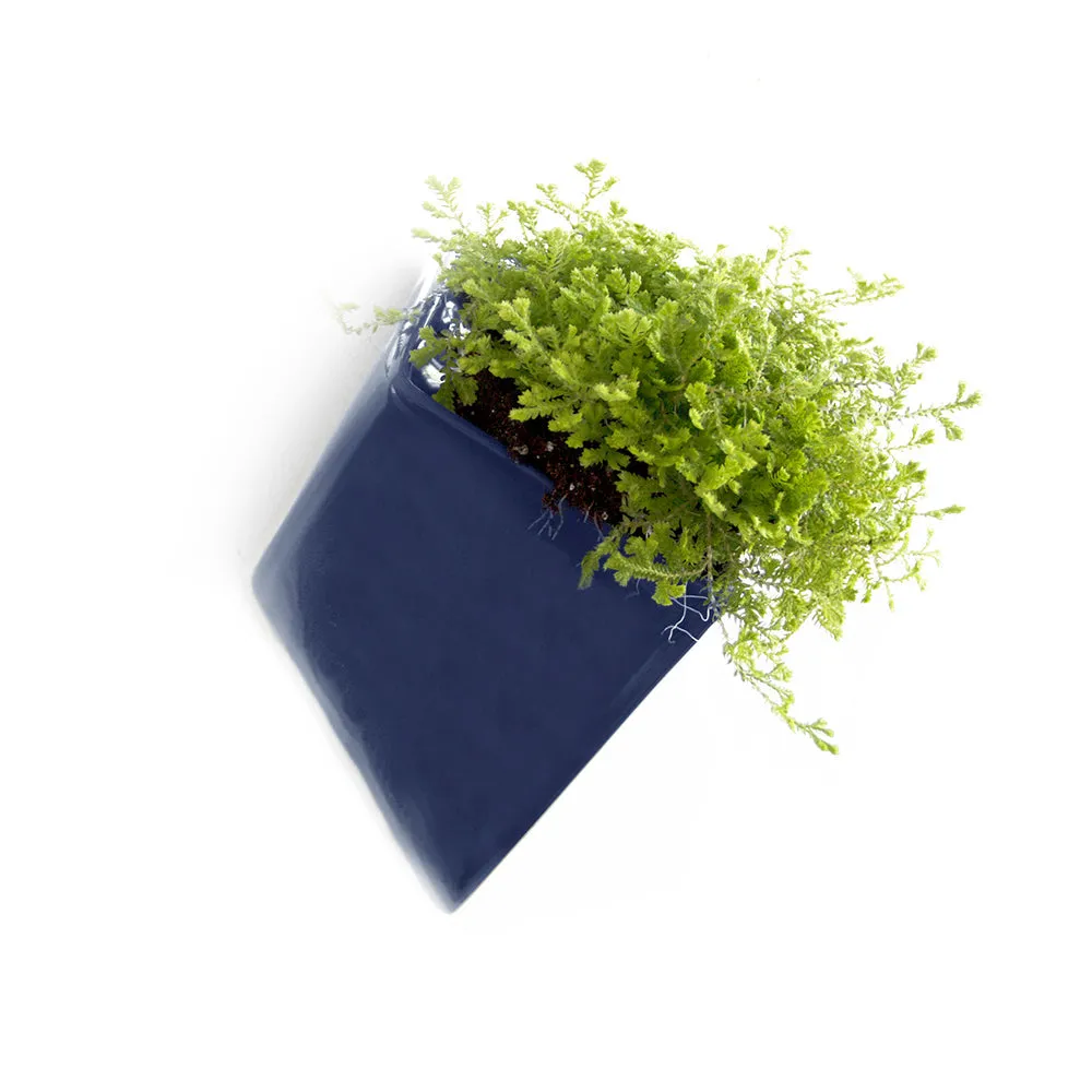 Slab Wall Planter Kits
