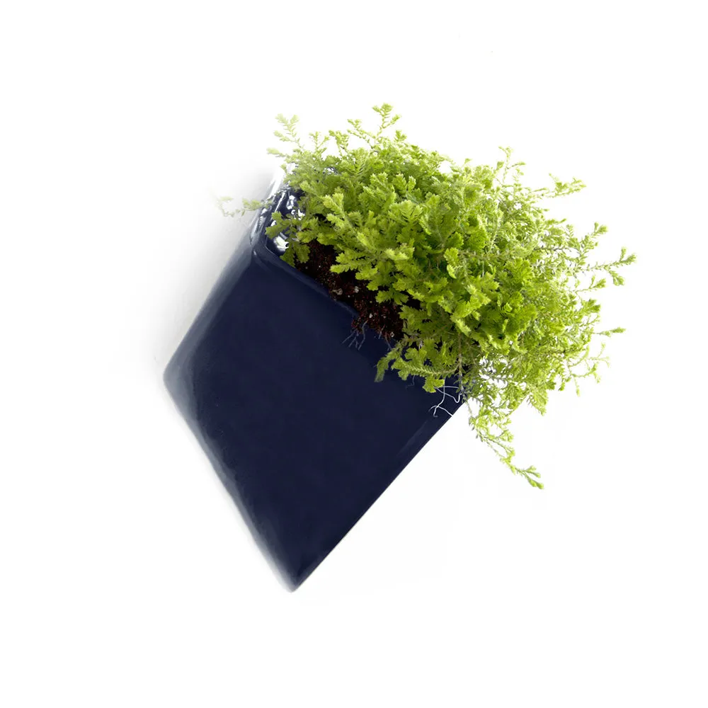 Slab Wall Planter Kits