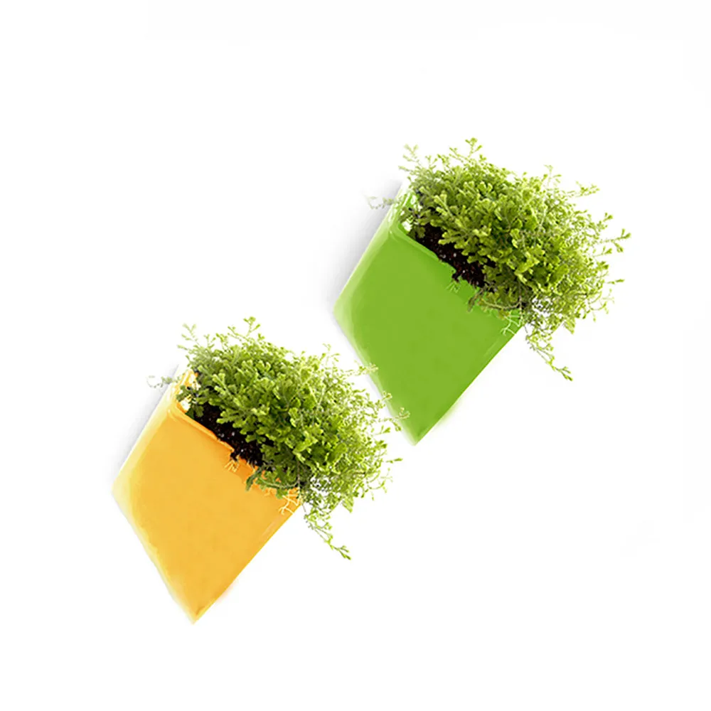 Slab Wall Planter Kits