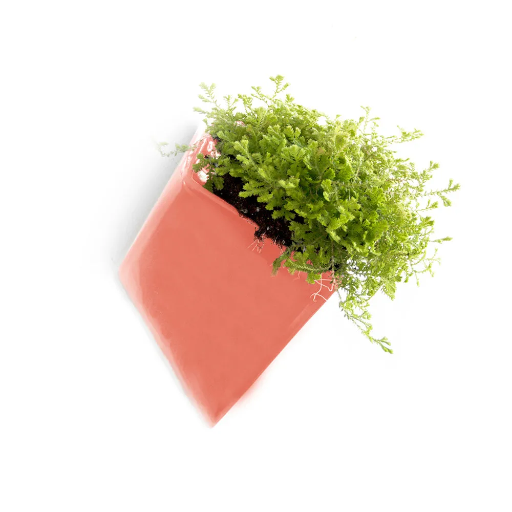 Slab Wall Planter Kits