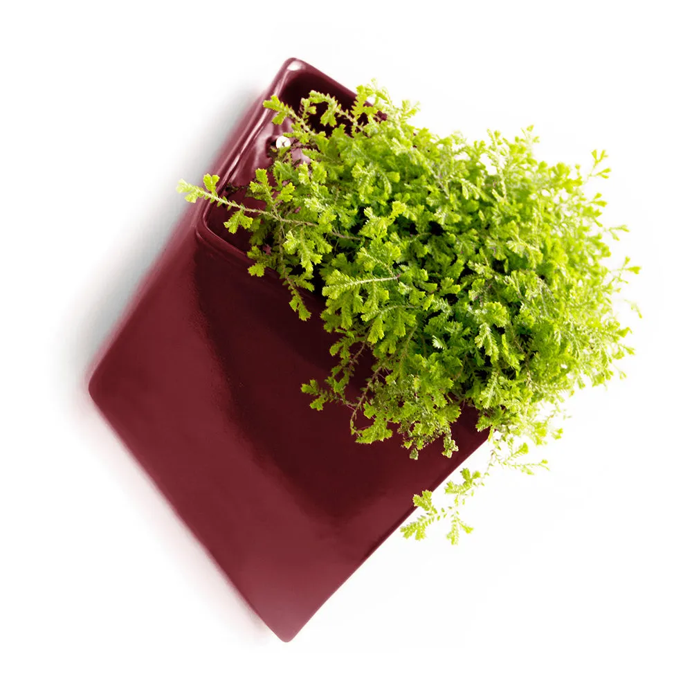 Slab Wall Planter Kits
