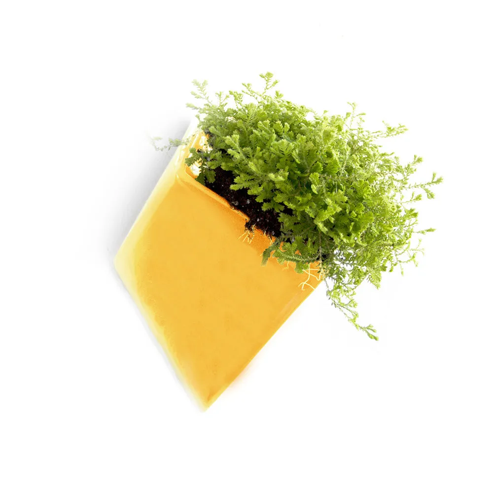 Slab Wall Planter Kits