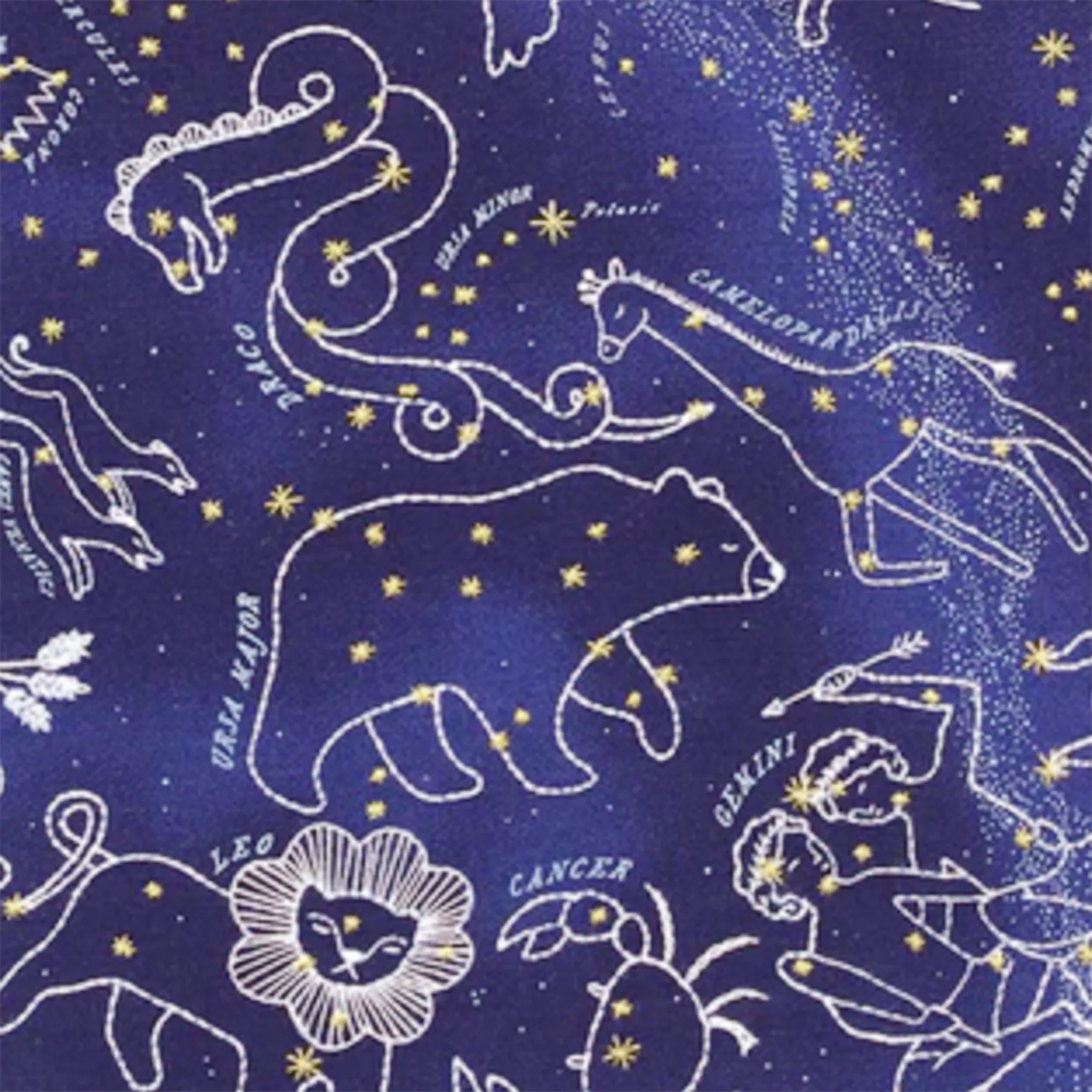 Star Map Hoop Art Kit