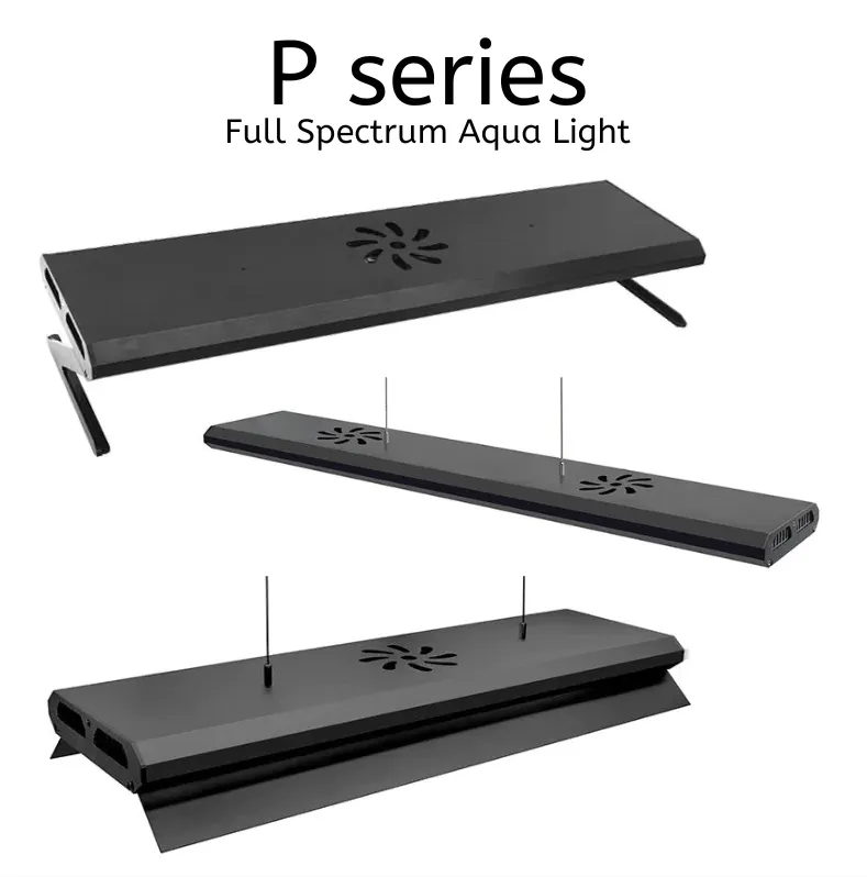 WEEK AQUA P Series (Professional)