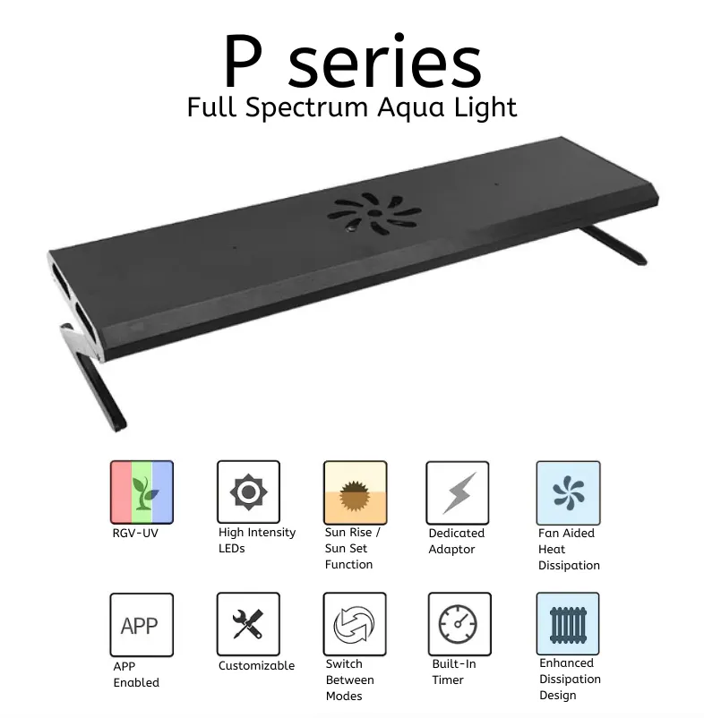 WEEK AQUA P Series (Professional)