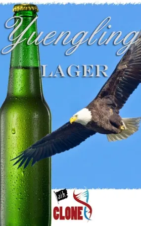 Yuengling Clone Recipe Kit