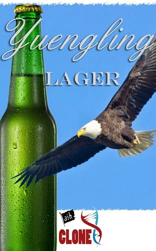 Yuengling Clone Recipe Kit
